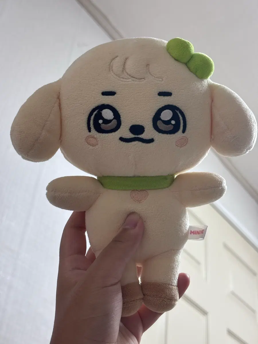 아이브 강안지 인형 판매합니다