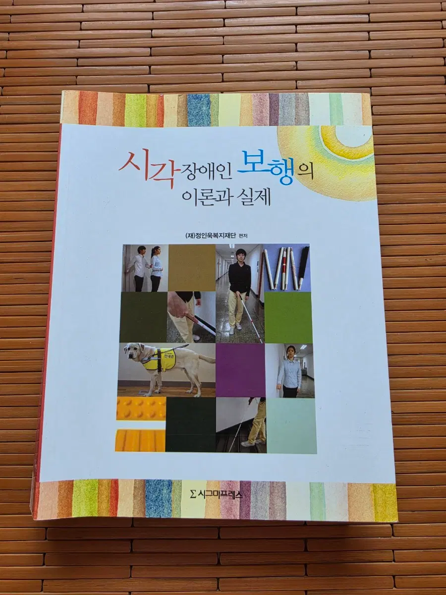 시각장애인 보행의 이론과 실제