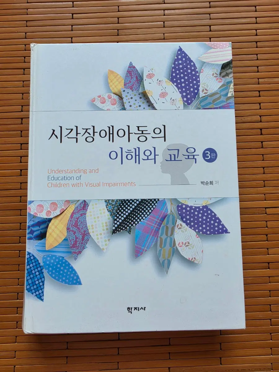 시각장애아동의 이해와 교육 3판
