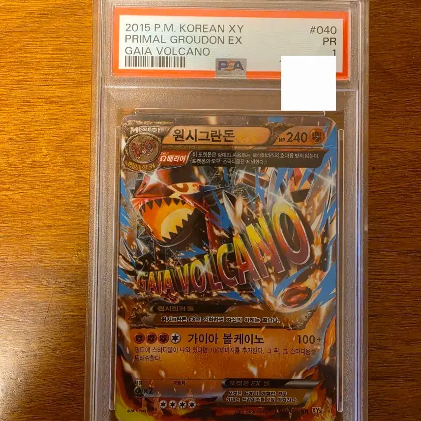 포켓몬 그란돈 psa1 한판