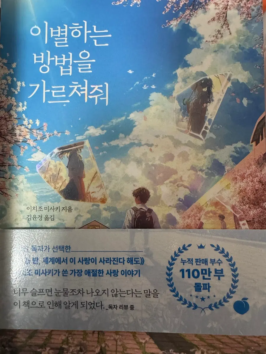책(소설)