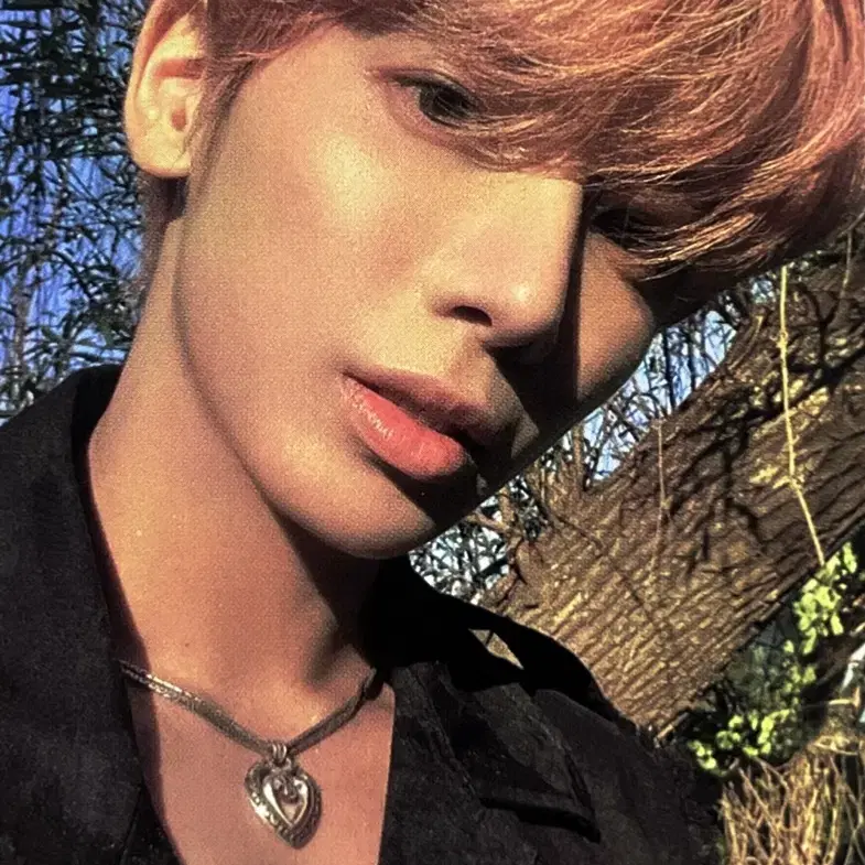 투바투 태현 이름의장 TEMPTATION Daydream 버전 포카 양도