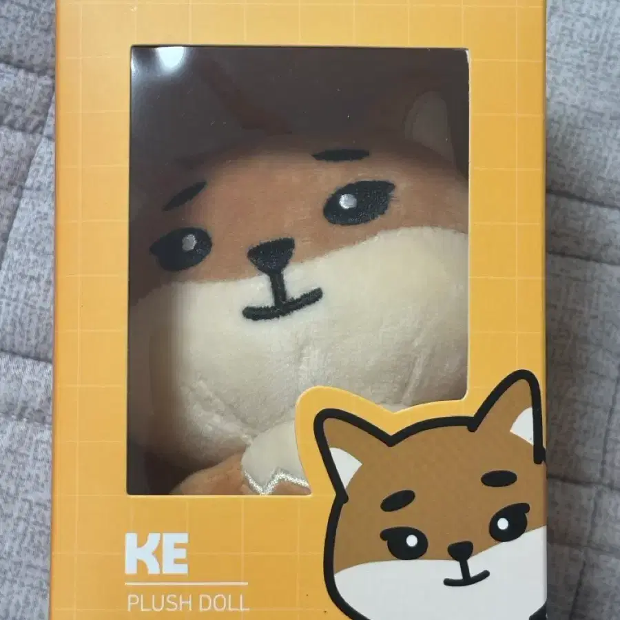 데이식스 데니멀즈 영케이 2020 케