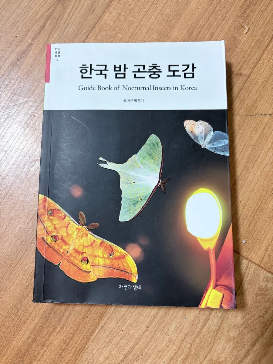 한국 밤 곤충 도감
