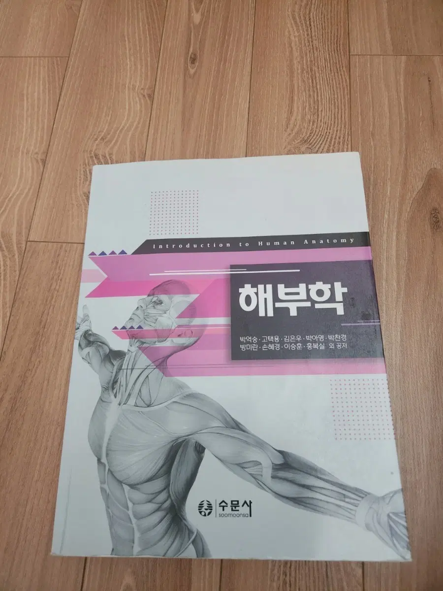 수문사 해부학
