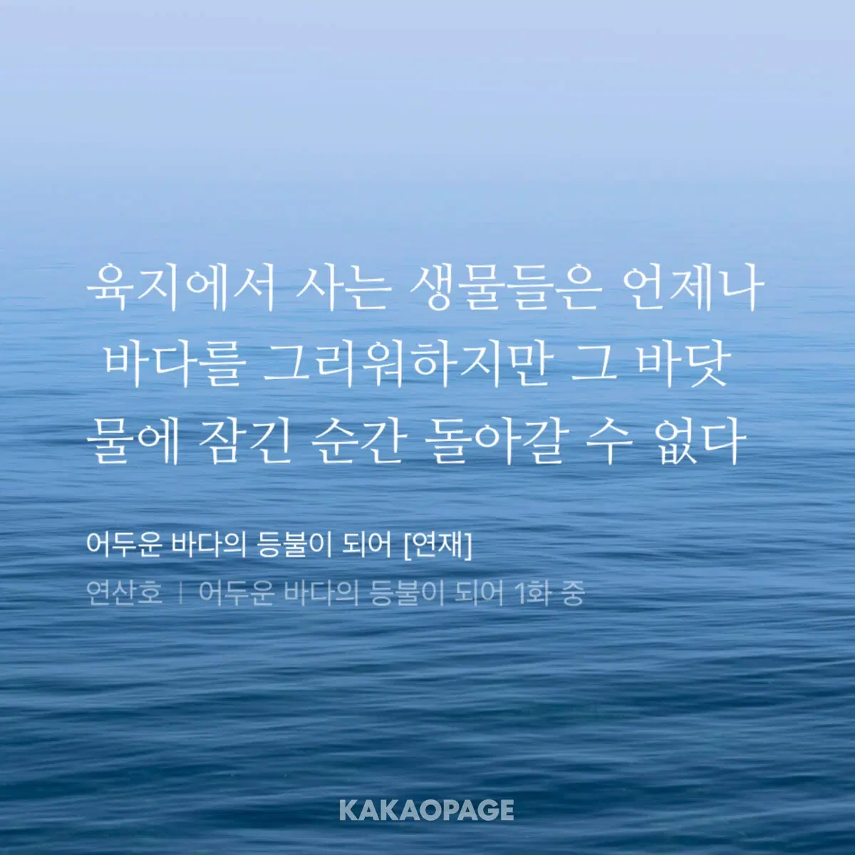 어두운 바다의 등불이 되어 어바등 양장본 1~4권 양도합니다
