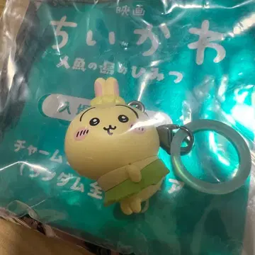 치이카와 메지루시 액세서리 영화 토끼