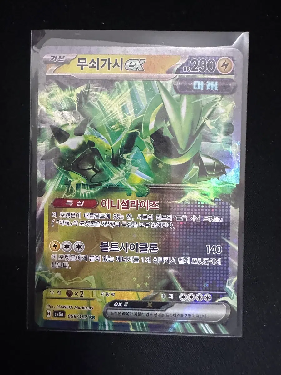 포켓몬 카드 무쇠가시 EX RR
