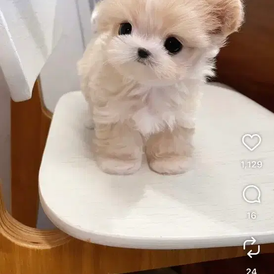 가방 교환 택배