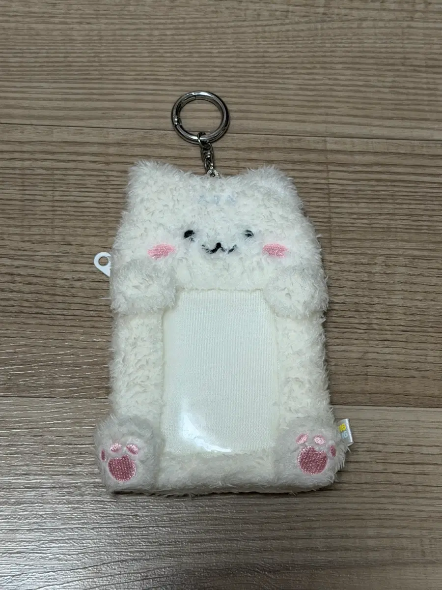 샤이니 태민 꿍댕이 팝업 댕이 포카홀더