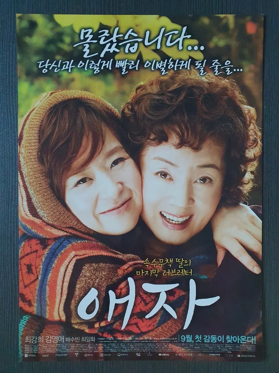 한국 영화 애자 전단지 팜플렛 A4 최강희