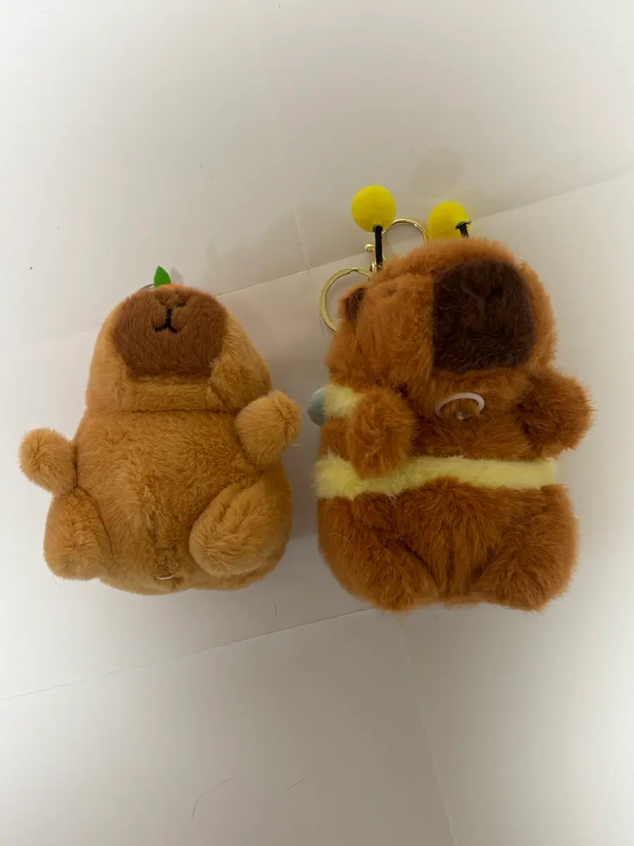 노래하는 카피바라 날아다니는 꿀벌 카피바라 인형 세트