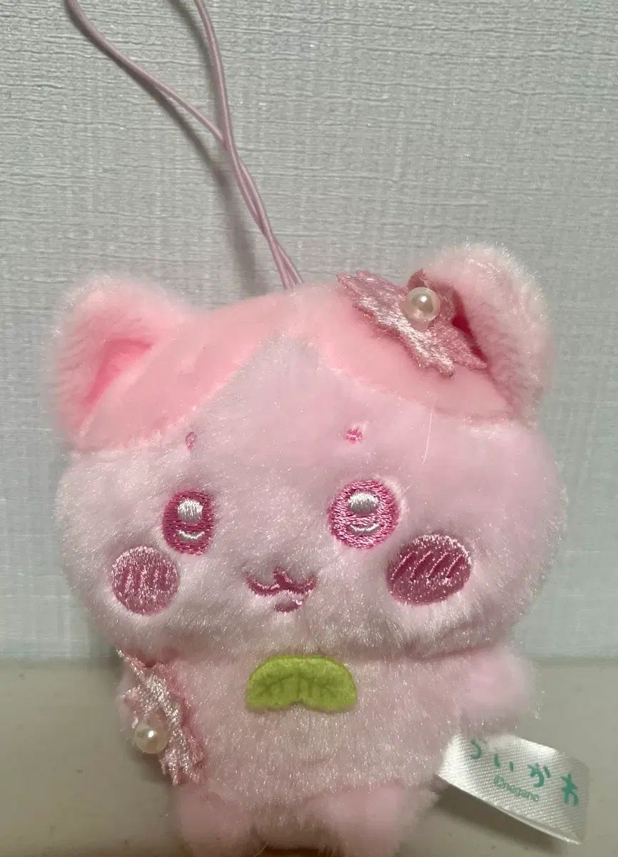 벚꽃 하치와레