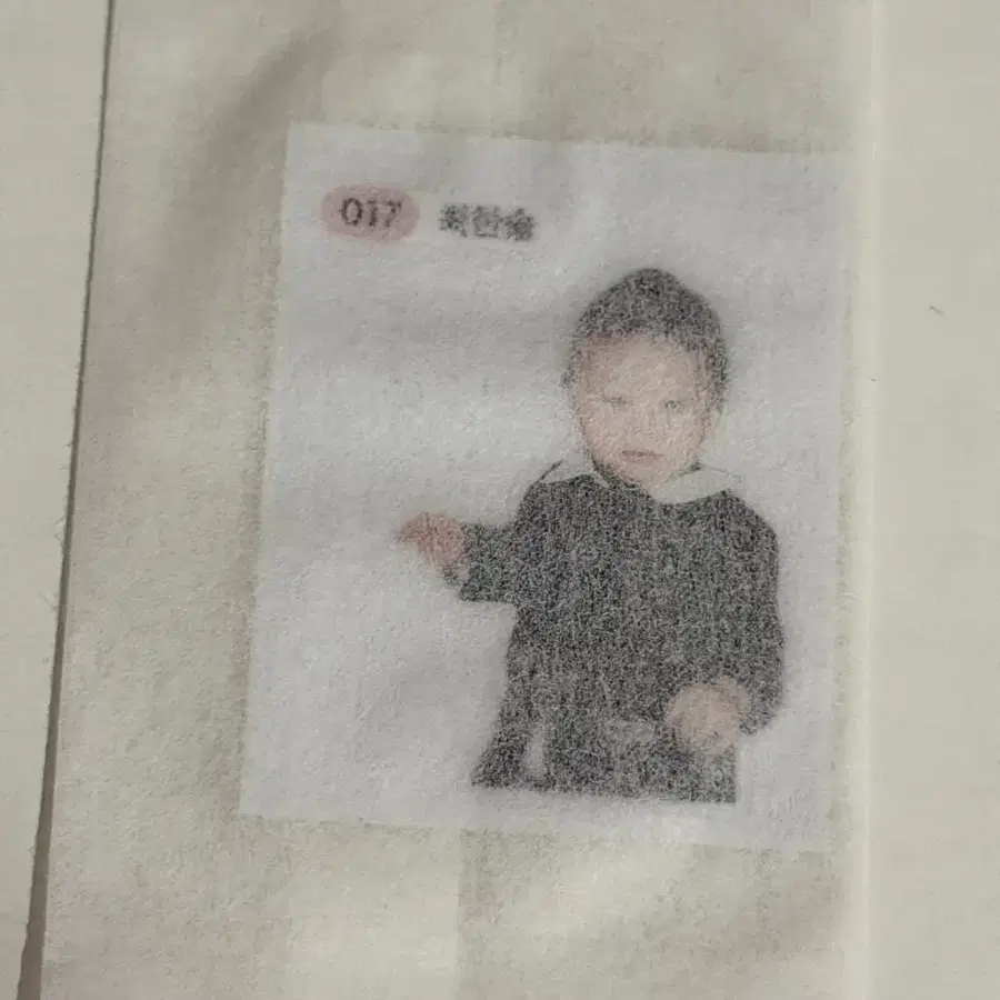 svt 세븐틴 썬더 공방 버논 띠부씰