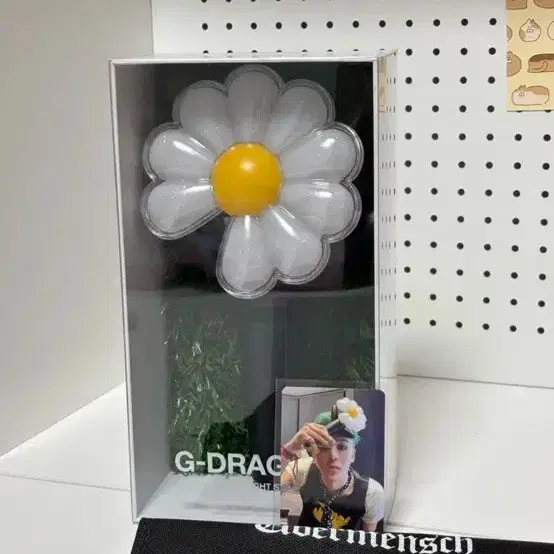 데이지봉 대여