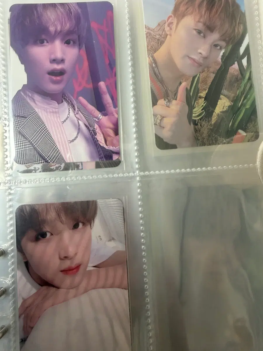 nct haechan bulk