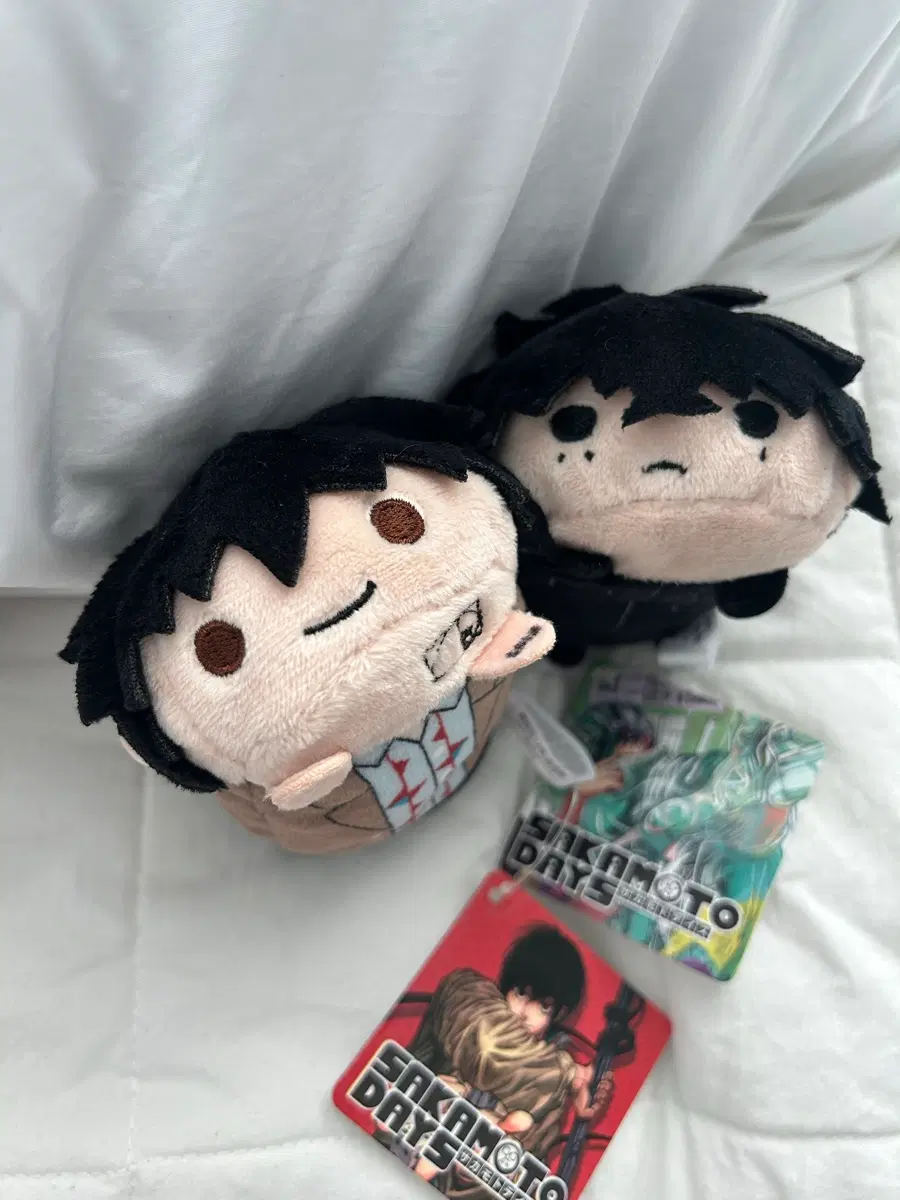 사카모토데이즈 쯔무 노루캬라