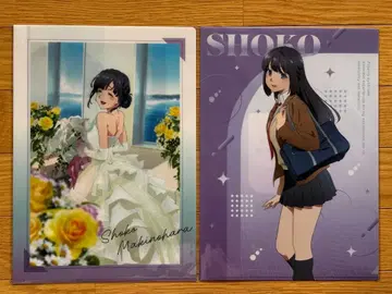 청춘 돼지 녀석은 안경 소녀의 꿈을 꾸지 않는다 마키노하라 쇼코 메모리얼 비주얼 공개 기념 클리어 파일