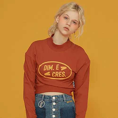 [새상품] 딤에크레스 티셔츠 SIMPLE LOGO CROP SLEEVE TEE_BROWN
