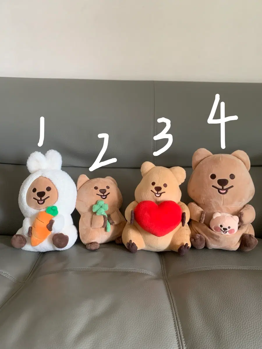 영이의숲 쿼카 인형 정품(일괄)