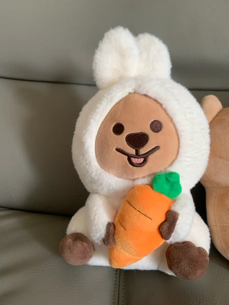 영이의 숲 당근쿼카