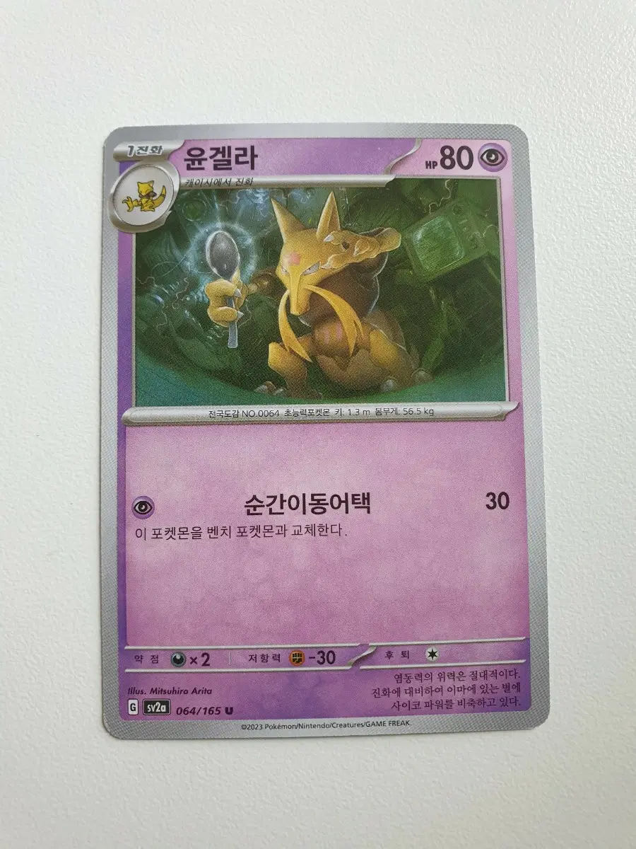 윤겔라 포켓몬카드