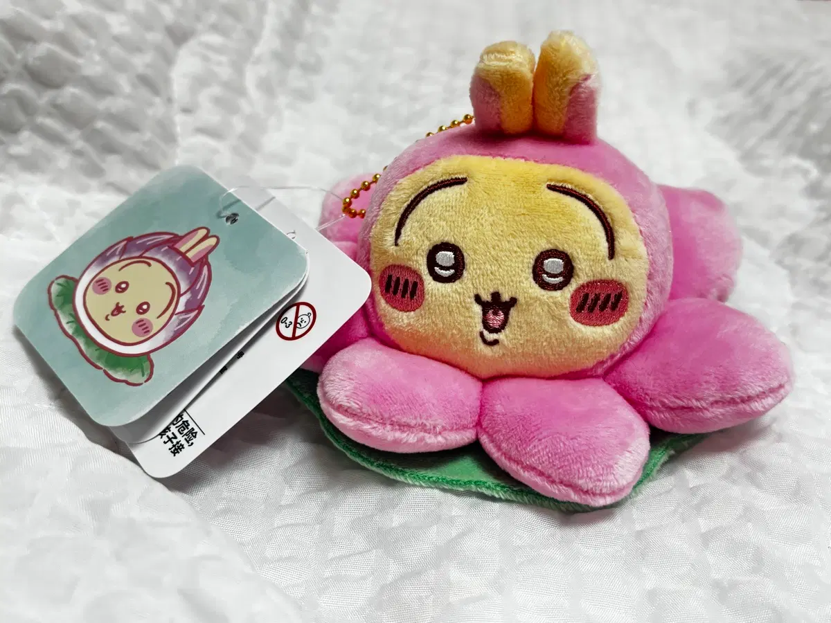 치이카와 항저우 한정 연꽃 우사기