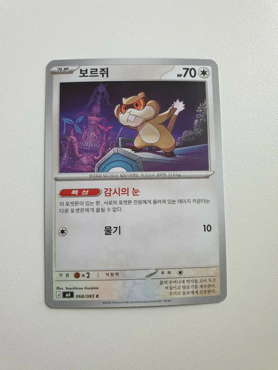 보르쥐 포켓몬카드