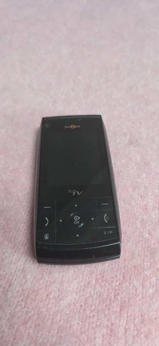 EV-W300 에버 슬림TV폰