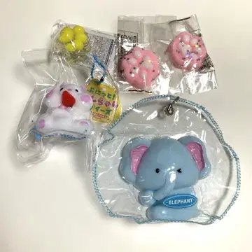 스퀴즈 5세트