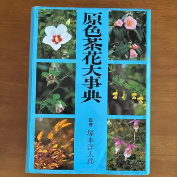 원색 브라운 꽃 대사전
