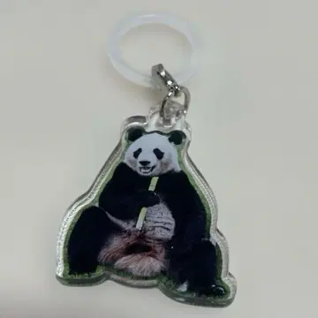 카에데하마 어드벤처 월드 팬더 패밀리 멀티 참