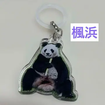 카에데하마 어드벤처 월드 팬더 패밀리 멀티 참
