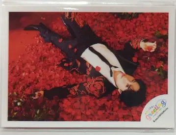 SnowMan Holiday Greeting Collection 미야타테 료타 미니 사진 스티커
