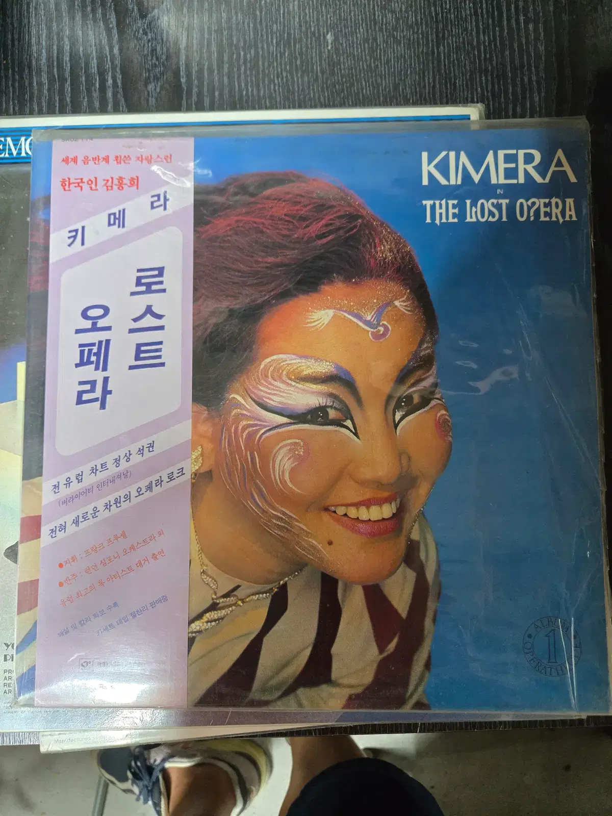 키메라외 기타 LP / 개별가격