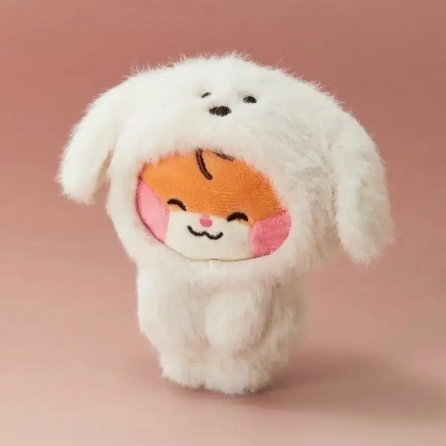 마그넷비니니 멍빈이