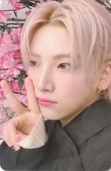 &TEAM 위버스 재팬 YUMA 유키아카리(눈빛)