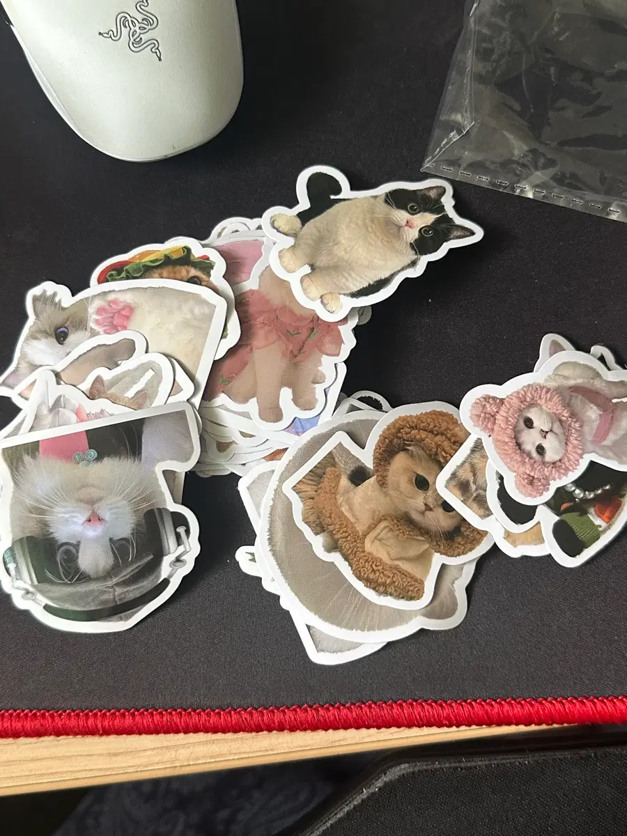 귀여운 고양이 스티커 팩 다꾸