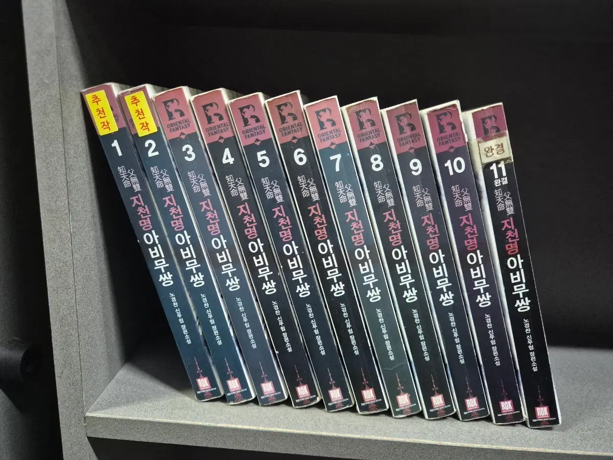 지천명아비무쌍(노경찬신무협)1~11완 교도소강력추천작