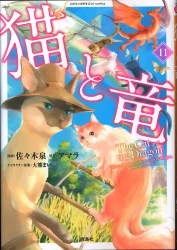 타카라지마샤 이 만화가 대단하다! comics 사사키 이즈미 !!) 고양이와 용 11