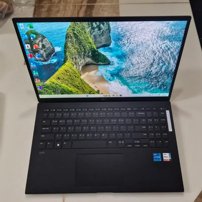 LG그램 노트북 15ZD95P, i5 11세대, 16G, 256G