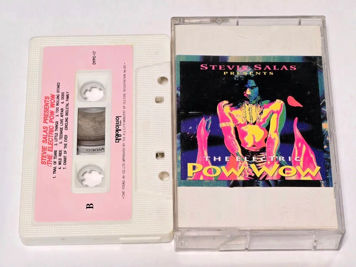 스티비 살라스 (Stevie Salas) - The Electric Pow Wow