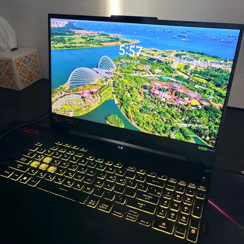 ASUS TUF Gaming A15 고사양 게이밍 노트북