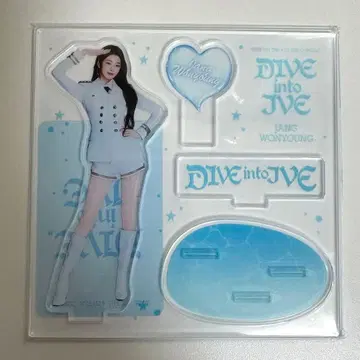 IVE DIVE into IVE 원영 아크릴 스탠드 트레이딩 카드