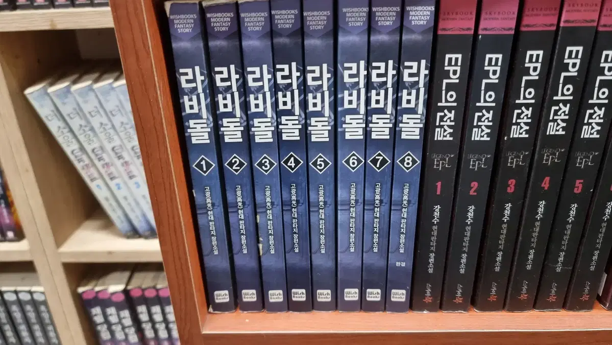 라비돌 1-8 완 고광 현대판타지 소설