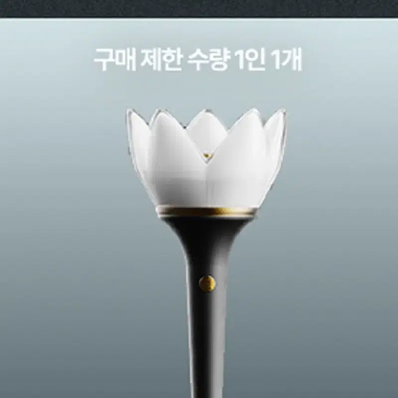 빅뱅 공식 응원봉 20주년 뱅봉