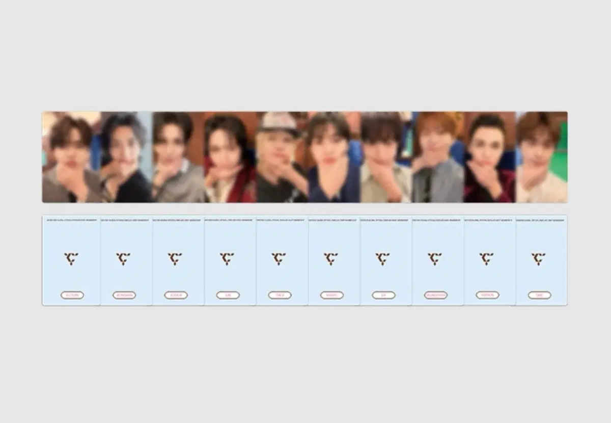 SEVENTEEN MEMBERSHIP KIT 포카 분철