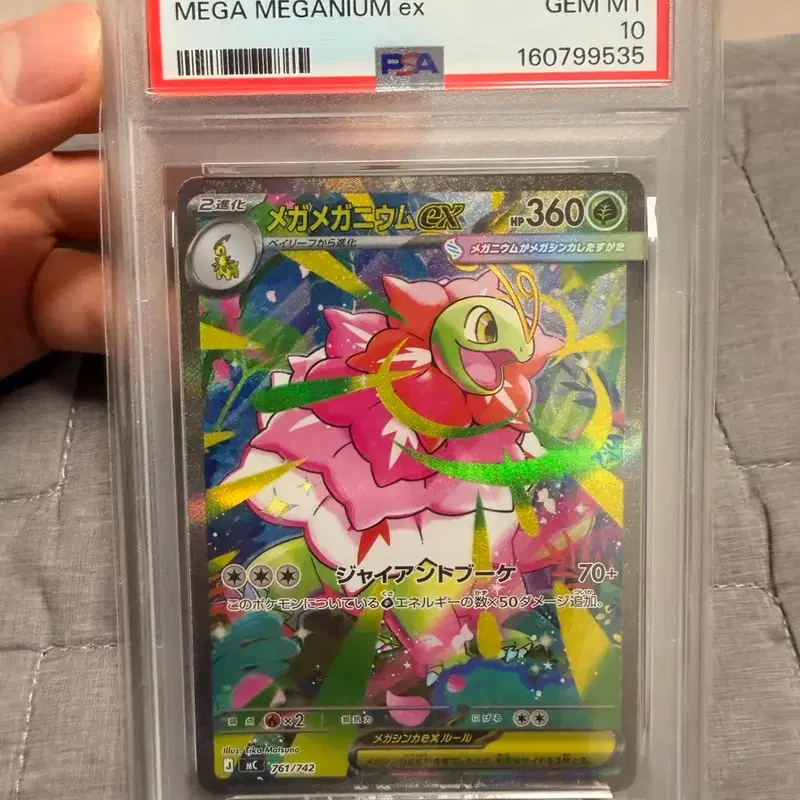 일판 메가메가니움 ex sar psa 10