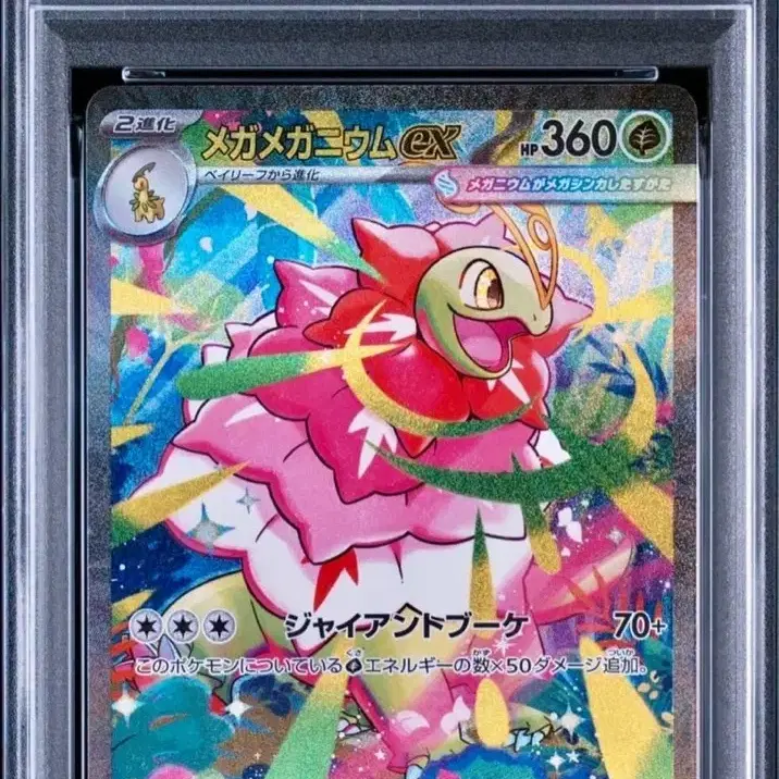 포켓몬 일판 메가메가니움 ex sar psa 10 사진 3