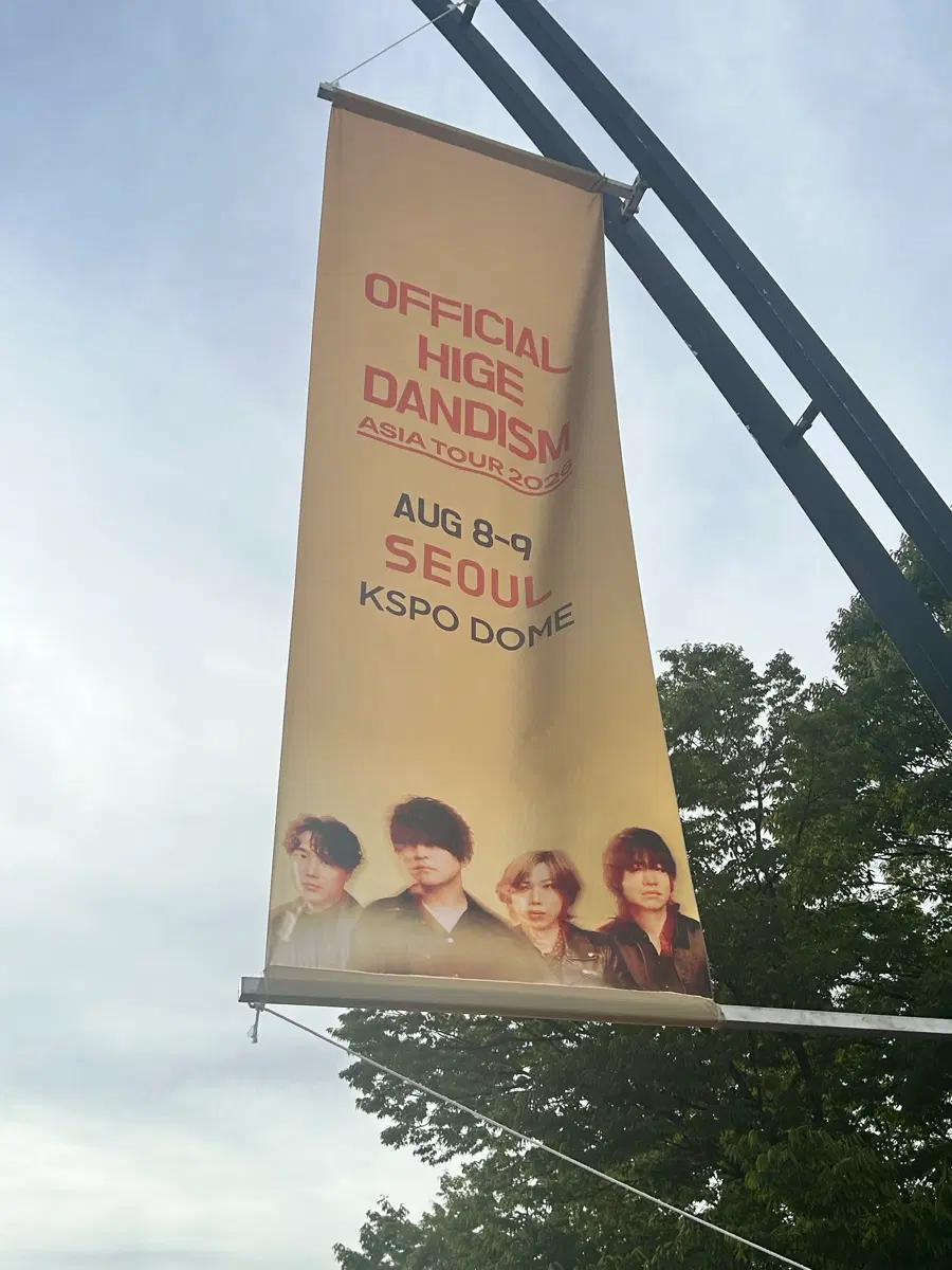 2026 히게단 내한 긴테 구합니다!